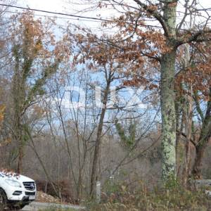 OPATIJA, VEPRINAC, TRAVIČIĆI - zemljište 2783m2 s građevnom dozvolom i pogledom na more za obiteljsku kuću/apartmane/ kuću za i...