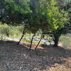 Orašac, Orašac, 288,00 m2, 110.000,00 EUR