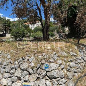 Orašac, Orašac, 288,00 m2, 110.000,00 EUR