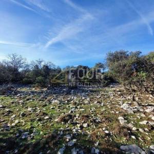Otok Cres, Belej, poljoprivredno zemljište 15.066m2