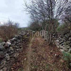 Otok Cres, Belej, poljoprivredno zemljište 15.066m2