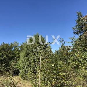 OTOK KRK, ČIŽIĆI - 6500 m2 ugostiteljsko-turističke namjene