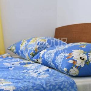 Otok Krk, Dobrinj - okolica, kuća s 2 stana i bazenom