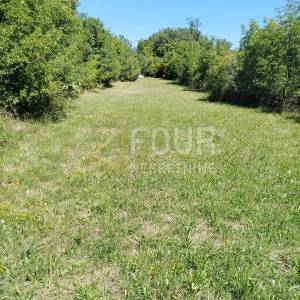 Otok Krk, Dobrinj - okolica, poljoprivredno zemljište 1.072m2