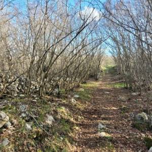 OTOK KRK, GARICA - Veliko Poljoprivredno zemljište s pristupom za auto 5km od grada Krka!