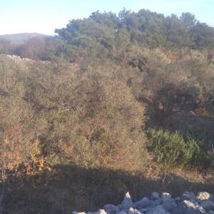 Otok Krk, grad Krk - Građevinsko zemljište s pogledom na more!