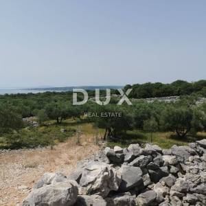 OTOK KRK, GRAD KRK - Maslinik sa gospodarskim objektom