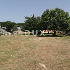 OTOK KRK, GRAD KRK - Maslinik sa gospodarskim objektom