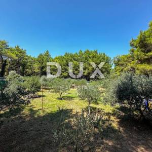 OTOK KRK, GRAD KRK (okolica) - EXKLUZIVNO SAMO U PONUDI DUX NEKRETNINA, JEDINSTVENA LOKACIJA, MASLINIK, 1400 m2, sa pomoćnim ob...