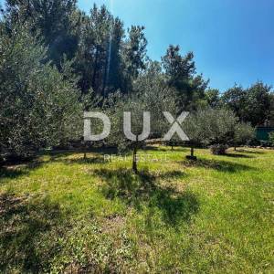 OTOK KRK, GRAD KRK (okolica) - EXKLUZIVNO SAMO U PONUDI DUX NEKRETNINA, JEDINSTVENA LOKACIJA, MASLINIK, 1400 m2, sa pomoćnim ob...