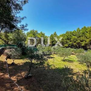 OTOK KRK, GRAD KRK (okolica) - EXKLUZIVNO SAMO U PONUDI DUX NEKRETNINA, JEDINSTVENA LOKACIJA, MASLINIK, 1400 m2, sa pomoćnim ob...