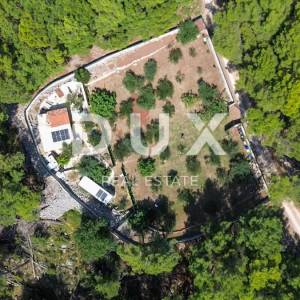 OTOK KRK, GRAD KRK (okolica) - EXKLUZIVNO SAMO U PONUDI DUX NEKRETNINA, JEDINSTVENA LOKACIJA, MASLINIK, 1400 m2, sa pomoćnim ob...