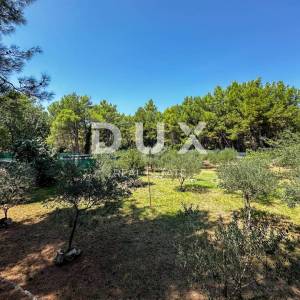 OTOK KRK, GRAD KRK (okolica) - EXKLUZIVNO SAMO U PONUDI DUX NEKRETNINA, JEDINSTVENA LOKACIJA, MASLINIK, 1400 m2, sa pomoćnim ob...