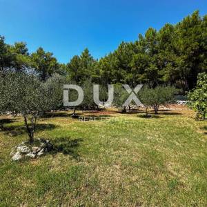 OTOK KRK, GRAD KRK (okolica) - EXKLUZIVNO SAMO U PONUDI DUX NEKRETNINA, JEDINSTVENA LOKACIJA, MASLINIK, 1400 m2, sa pomoćnim ob...