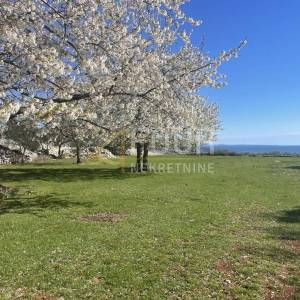 Otok Krk, grad Krk, poljoprivredno zemljište 12.939m2