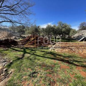 Otok Krk, grad Krk, poljoprivredno zemljište 12.939m2