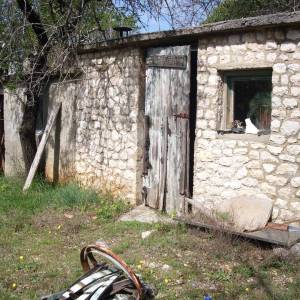 OTOK KRK, KRAS - Teren sa gospodarskim objektom