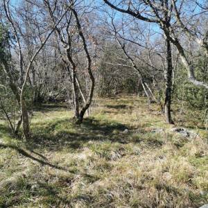 OTOK KRK, KRK (Okolica) - Poljoprivredno zemljište