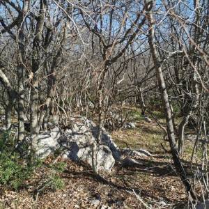 OTOK KRK, KRK (Okolica) - Poljoprivredno zemljište