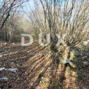 OTOK KRK, KRK - Ravno zemljište bogato drvima sa pristupom, idealno za OPG, 3000m od mora!