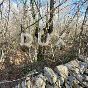 OTOK KRK, KRK - Ravno zemljište bogato drvima sa pristupom, idealno za OPG, 3000m od mora!