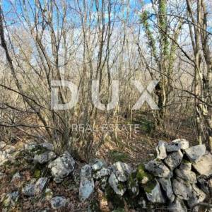 OTOK KRK, KRK - Ravno zemljište bogato drvima sa pristupom, idealno za OPG, 3000m od mora!