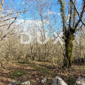 OTOK KRK, KRK - Ravno zemljište bogato drvima sa pristupom, idealno za OPG, 3000m od mora!