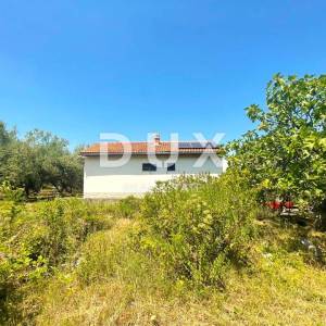 OTOK KRK - Kuća na osami, 400 maslina, 10.000 m2 terena!