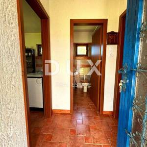 OTOK KRK - Kuća na osami, 400 maslina, 10.000 m2 terena!