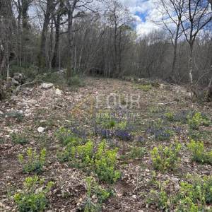 Otok Krk, Njivice, poljoprivredno zemljište, 670m2