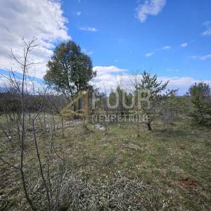 Otok Krk, Pinezići - okolica, poljoprivredno zemljište, 6.141m2