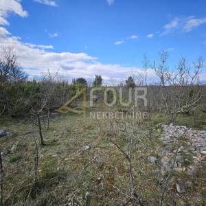 Otok Krk, Pinezići - okolica, poljoprivredno zemljište, 6.141m2