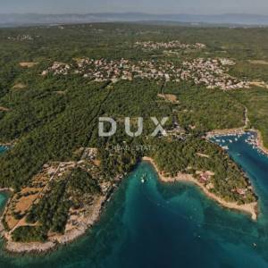OTOK KRK, PINEZIĆI - Stari maslinik, održavan, na mirnoj lokaciji