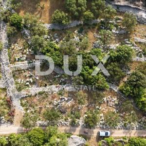 OTOK KRK, PUNAT - Kaskadni maslinik s prilaznim putem