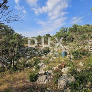 OTOK KRK, PUNAT - Kaskadni maslinik s prilaznim putem