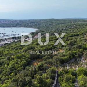 OTOK KRK, PUNAT - Kaskadni maslinik s prilaznim putem