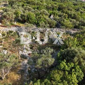 OTOK KRK, PUNAT - Kaskadni maslinik s prilaznim putem