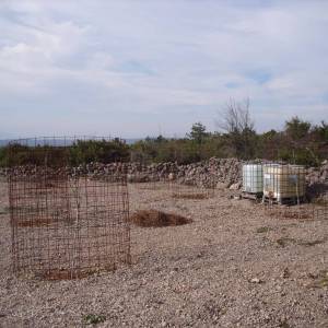OTOK KRK, PUNAT - Maslinik na 3620 m2