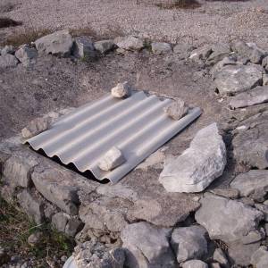 OTOK KRK, PUNAT - Maslinik na 3620 m2