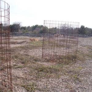OTOK KRK, PUNAT - Maslinik na 3620 m2