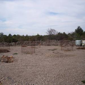 OTOK KRK, PUNAT - Maslinik na 3620 m2