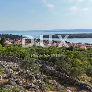 OTOK KRK, PUNAT - Mladi maslinik s otvorenim pogledom na more i Košljun