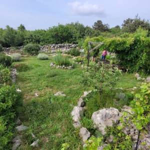 OTOK KRK, PUNAT - Poljoprivredno zemljište sa kućicom i panoramskim pogledom na more!