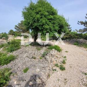 OTOK KRK, PUNAT - Poljoprivredno zemljište sa panoramskim pogledom na Kvarner!