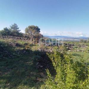 Otok Krk, Punat, poljoprivredno zemljište s pogledom na more i Punat