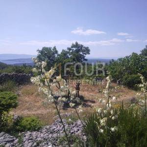 Otok Krk, Punat, poljoprivredno zemljište s pogledom na more i Punat