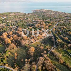 Otok Krk, Šilo -  Očišćen, ravan MASLINIK, buduće građevinsko, 600m do prekrasnih plaža, mora i supermarketa s pristupnim putem...