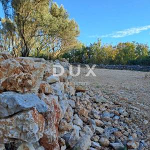 Otok Krk, Šilo -  Očišćen, ravan MASLINIK, buduće građevinsko, 600m do prekrasnih plaža, mora i supermarketa s pristupnim putem...