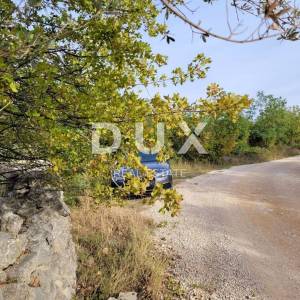Otok Krk, Šilo -  Očišćen, ravan MASLINIK, buduće građevinsko, 600m do prekrasnih plaža, mora i supermarketa s pristupnim putem...