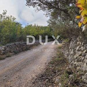 Otok Krk, Šilo -  Očišćen, ravan MASLINIK, buduće građevinsko, 600m do prekrasnih plaža, mora i supermarketa s pristupnim putem...